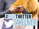 Moët, Nike and Lululemon get on board with Elle’s Twitter takeover